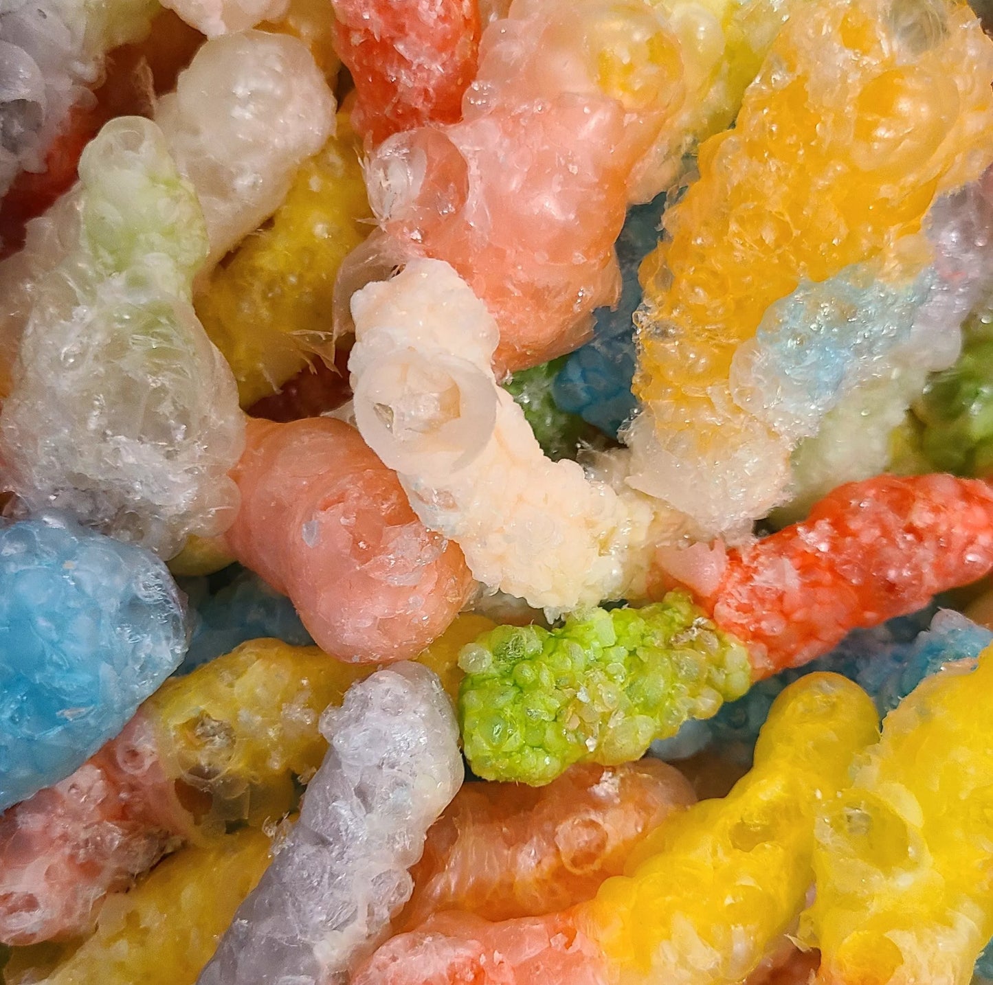 Freeze dried gummy worms
