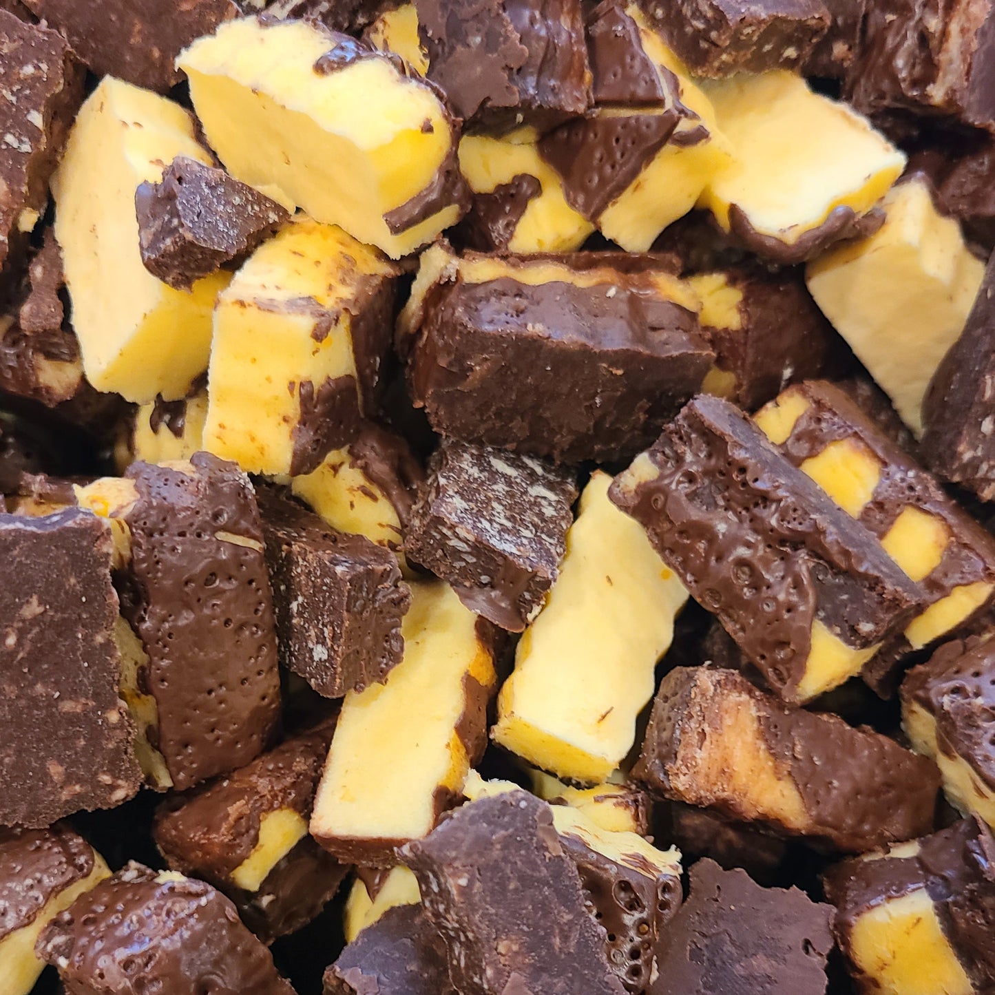 Freeze Dried Nanaimo Bites